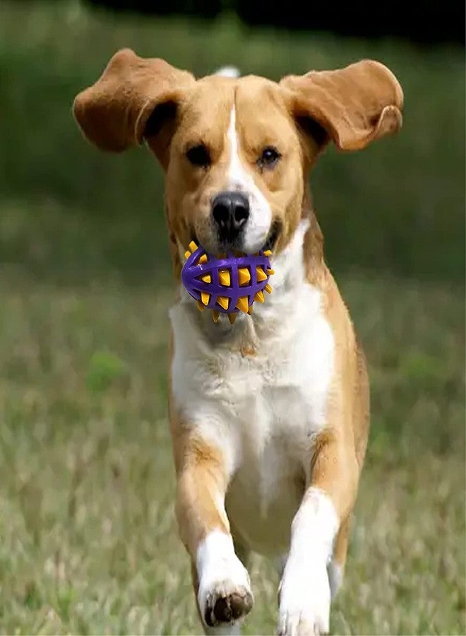PETLICIOUS & MORE كرة مضغ للكلاب من بيتليشوس آند مور®، مكافأة متينة للكلاب، غلاف مطاطي يصدر صوتاً، مناسبة للكلاب الشرسة في المضغ، لجميع سلالات الكلاب والجراء (عبوة واحدة، قد يختلف اللون) - Image 1